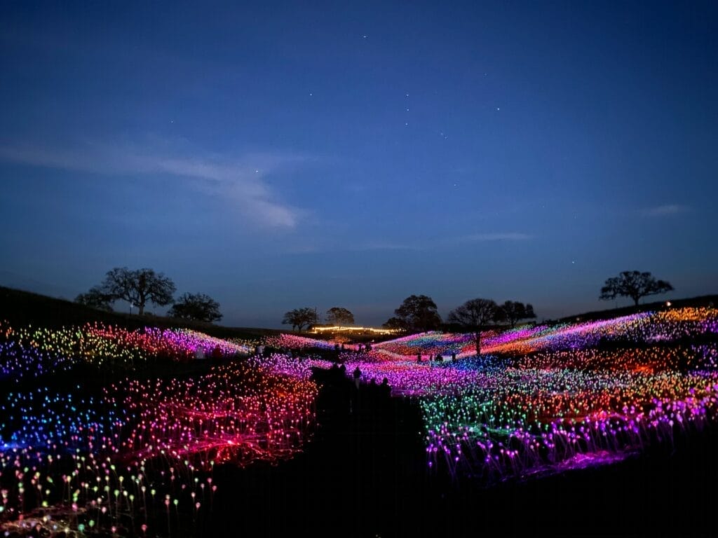 A field full of colorful lights at night in Paso Robles.