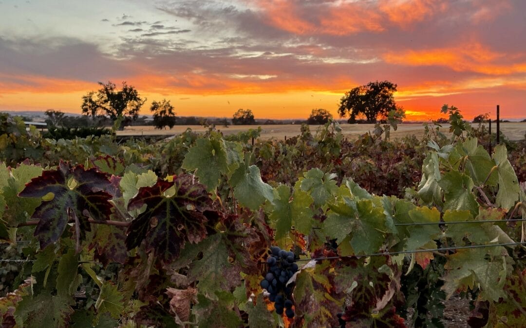 Central Coast Vacation Rental Nestled in Paso Robles Wine Country